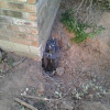 Foundation Repair, Hydraulic Lifting Bossier City, Gonzales, Baton